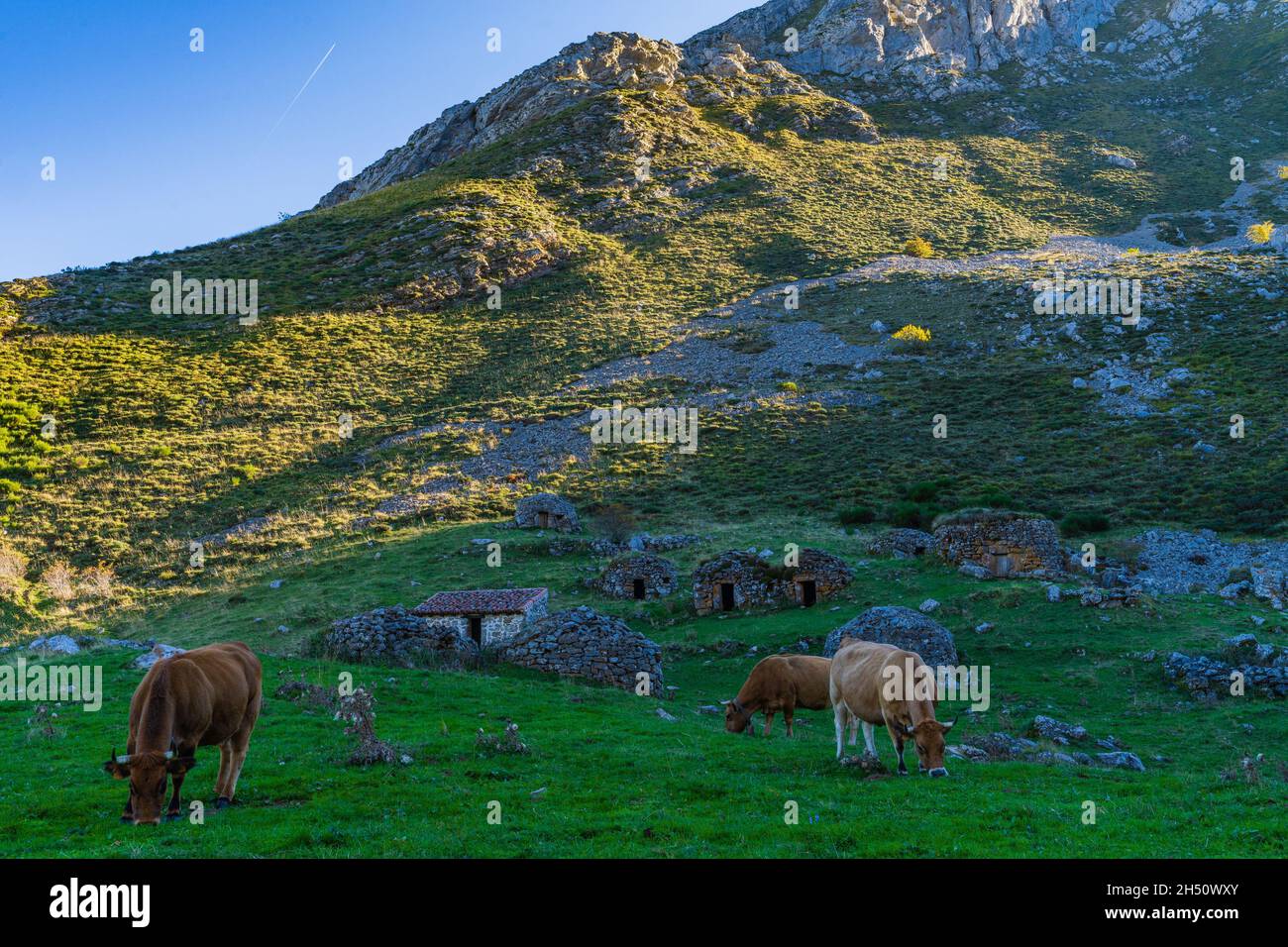 View of the Sousas valley in the Somiedo natural park in Asturias.  Stock Photo