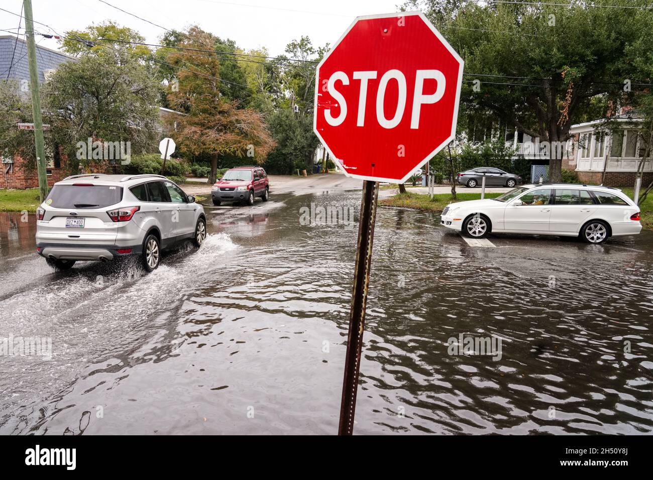 Action tier flooding hires stock photography and images Alamy