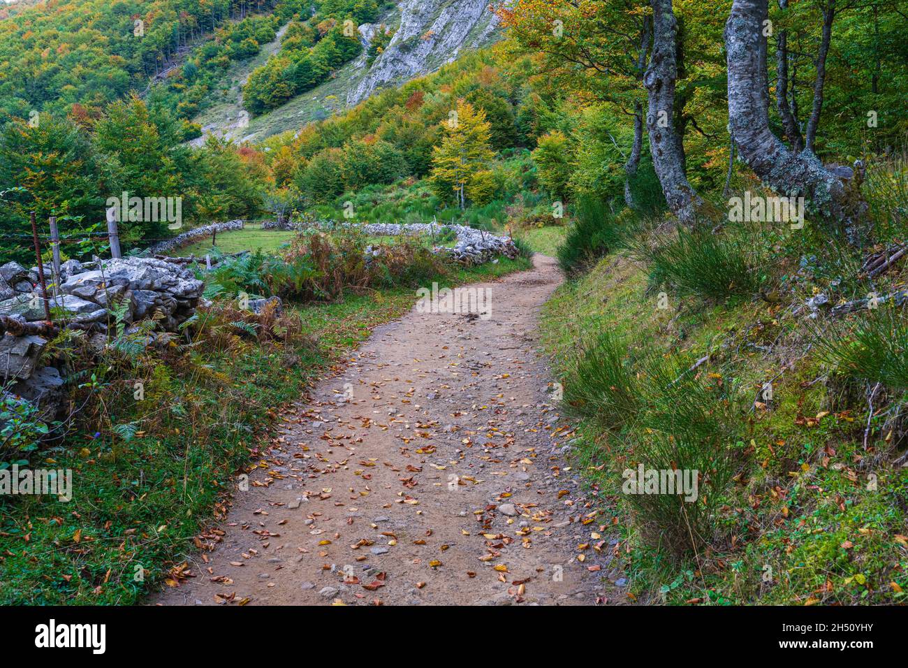 Autumn landscape in the Somiedo natural park in Asturias.  Stock Photo