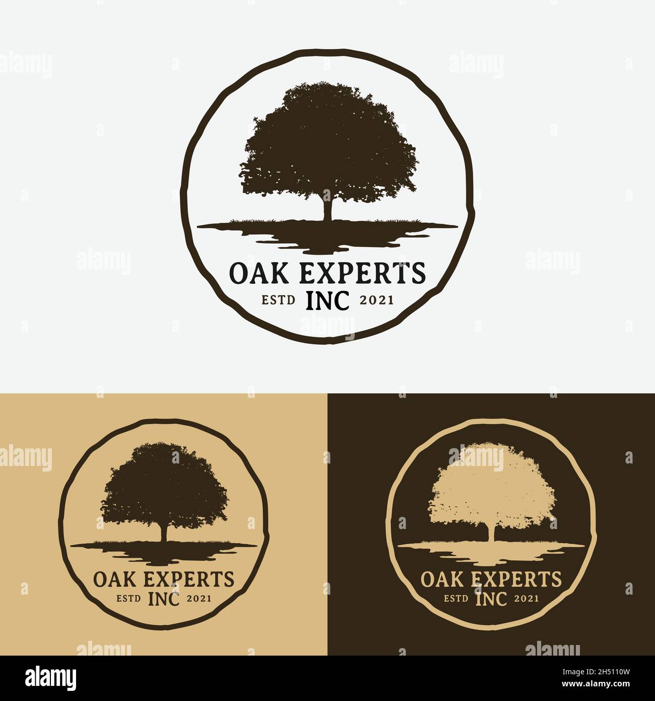 Oak Maple Tree for Outdoor Landscape Tree Experts Business Brand Company in Vintage Retro Hipster Old Rustic Style Logo Design. Stock Vector