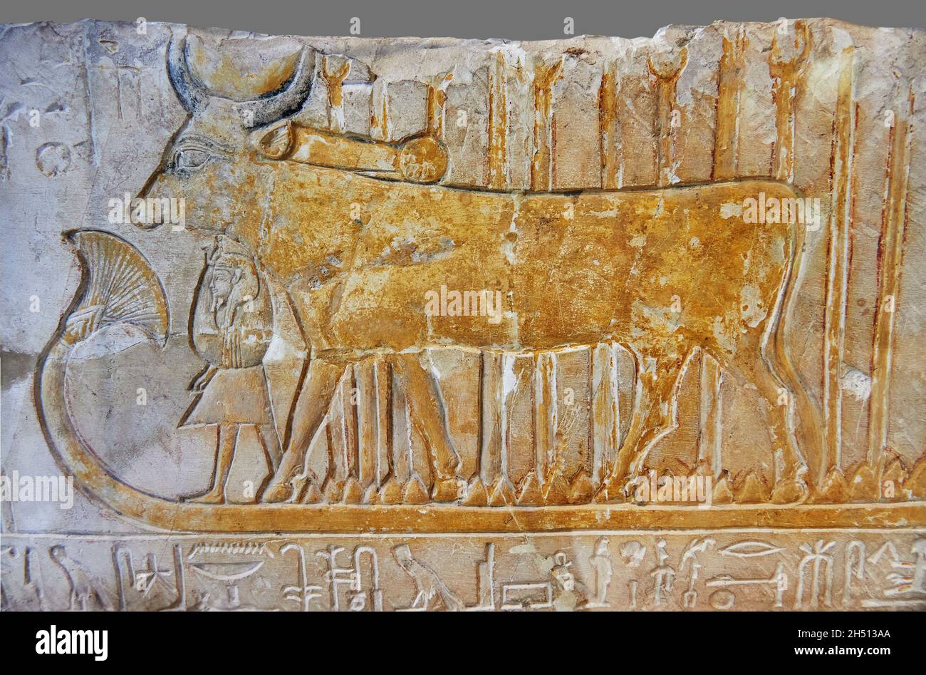 Ancient Egyptian tomb relief lintel of doddess Hathor as a cow and  Amenophis I, 1279-1213 BC, Deir el Medina, mastaba tomb of  Khenou roomm 4. Louvre Stock Photo