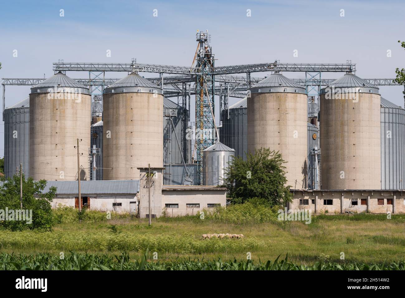Agricultural silos of concrete. Stock Photo
