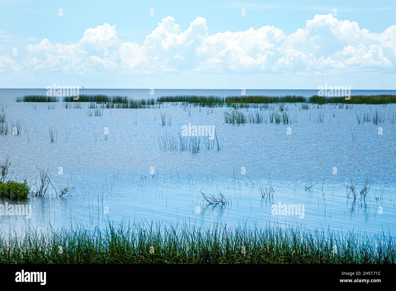 Lake Okeechobee Florida water sky clouds natural scenery Stock Photo