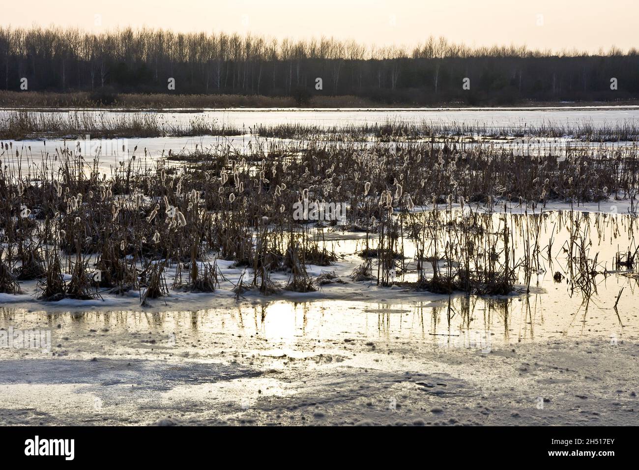 River Pool Ice Pool in winter hi-res stock photography and images - Alamy