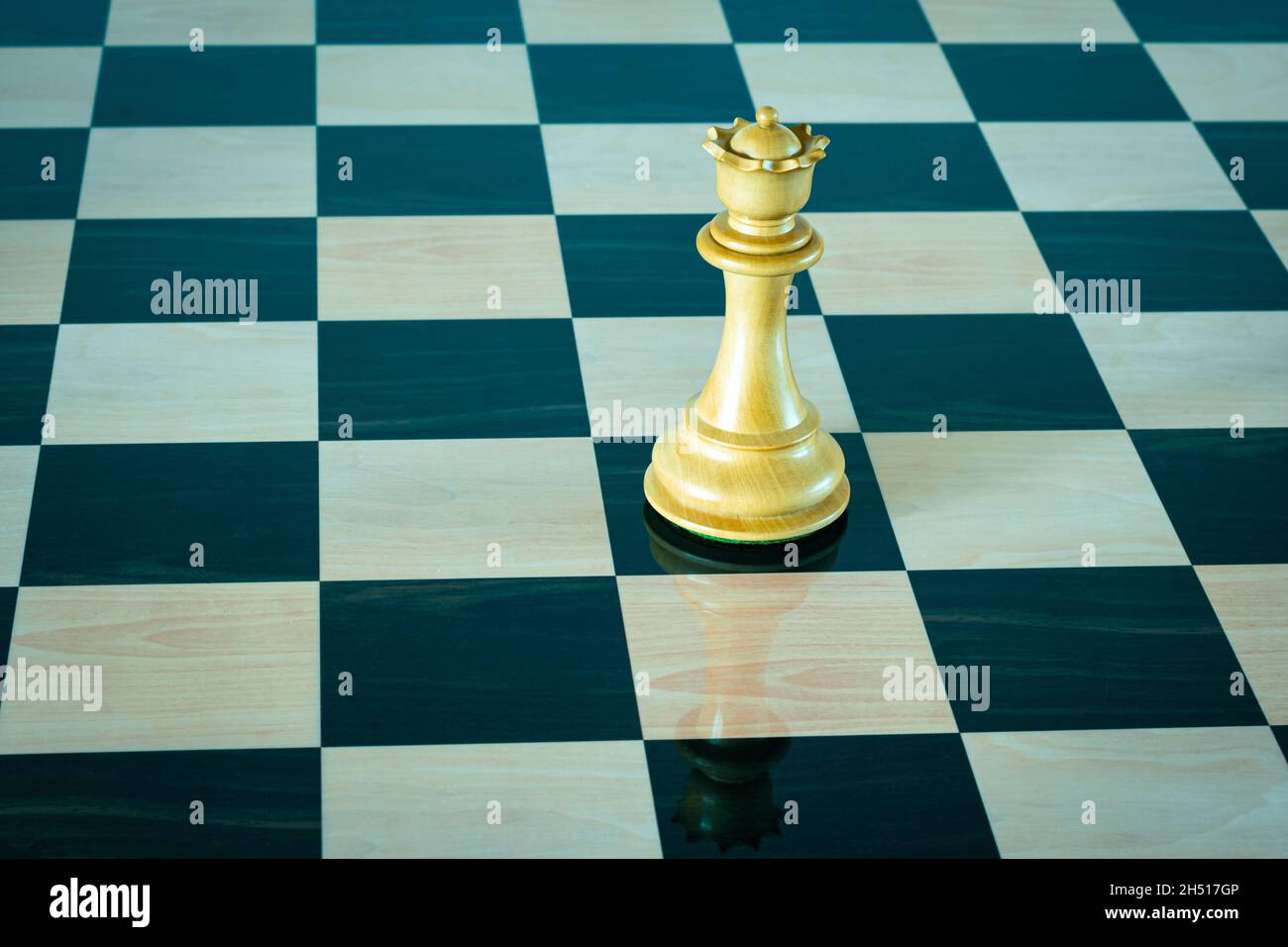 White queen on a chess board. Chess piece. Stock Photo