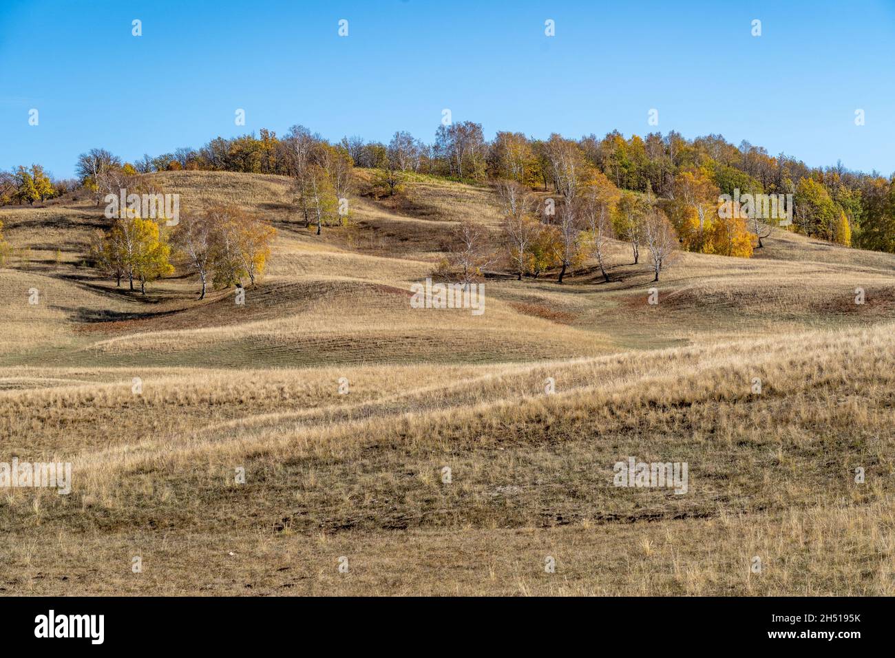 Rural landscape with growing plants and hills in the autumn Stock Photo ...