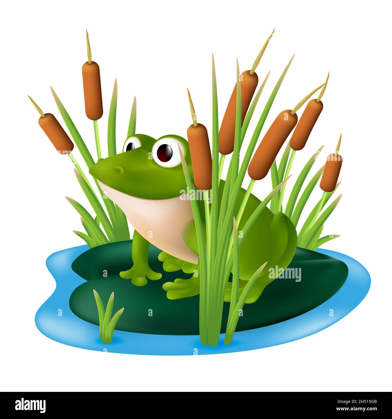 A green frog sitting on a lily pad in a pond with reeds in the marsh grass. Vector illustration of a cartoon character in a shrub of bulrush isolated Stock Vector