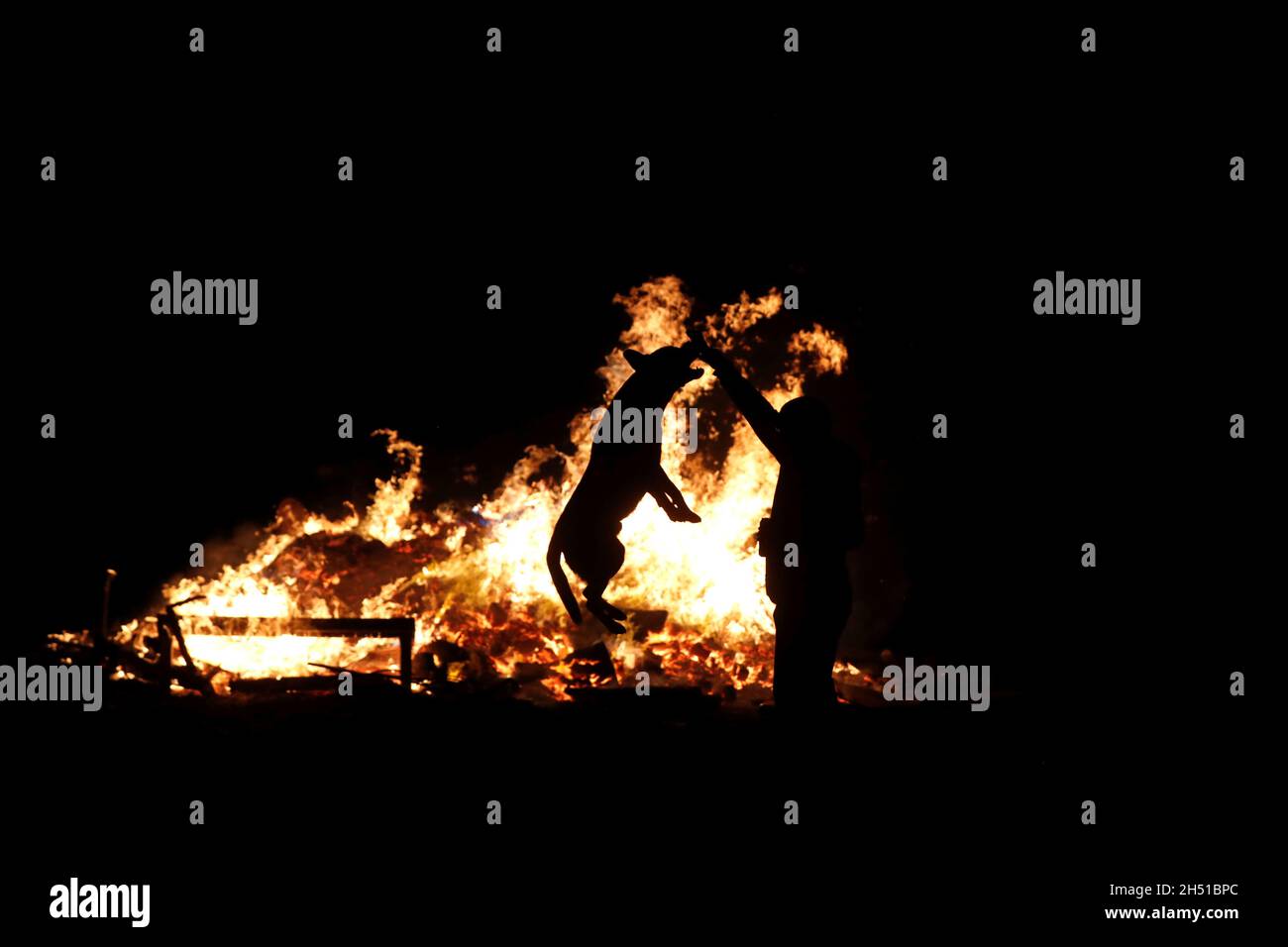 A dog jumps in front of a bonfire on Guy Fawkes night in Stanley, Britain  November 5, 2021. REUTERS/Lee Smith Stock Photo - Alamy