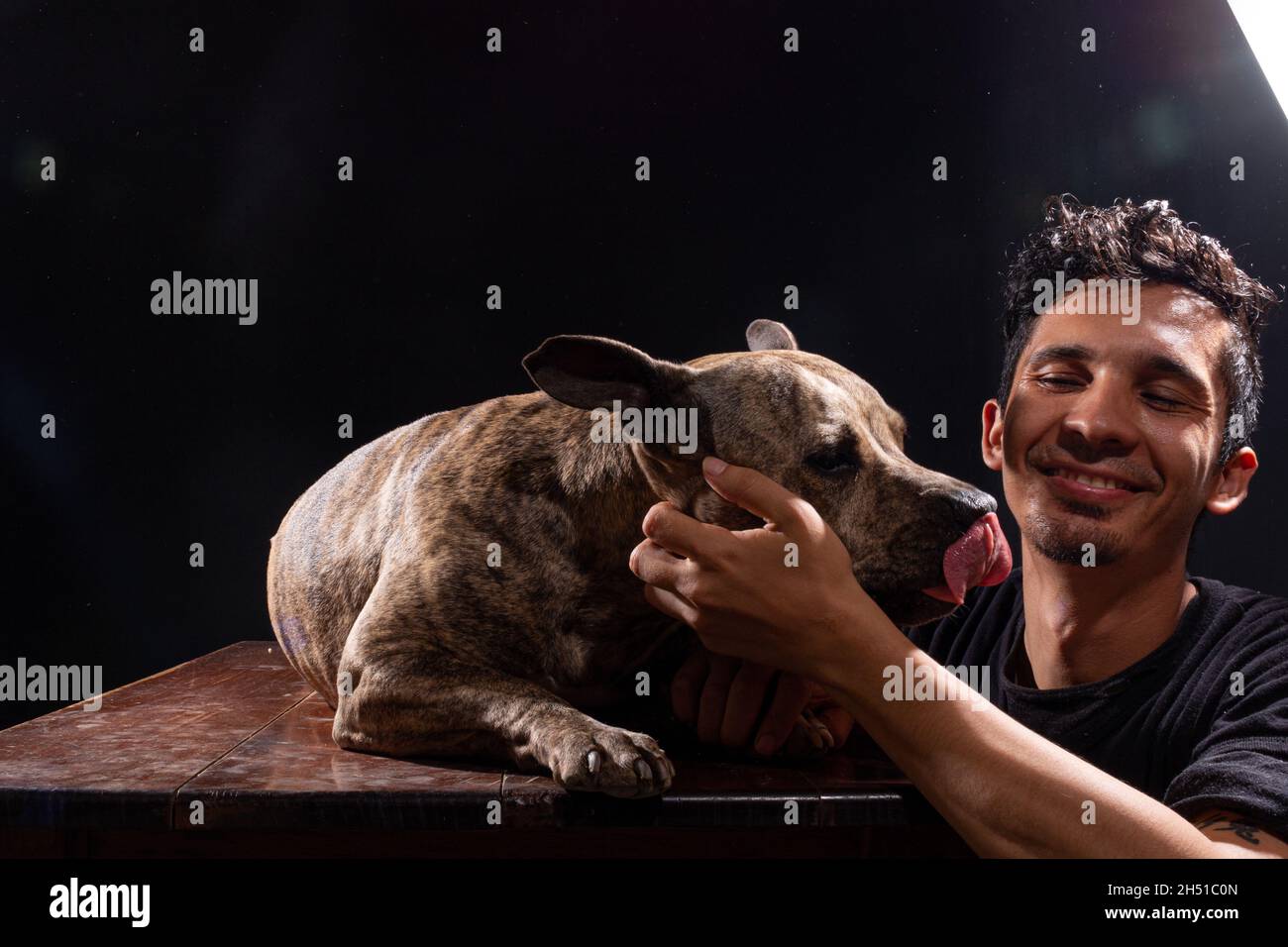 Latin man and his pitbull spending time together in a photo studio. Young adult and his pet love each other very much. Stock Photo