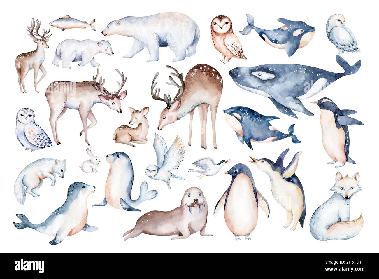 polar animals watercolor collections. snowy owl. reindeer. polar bear. fox.  penguin. walrus seal hare whale Stock Photo - Alamy