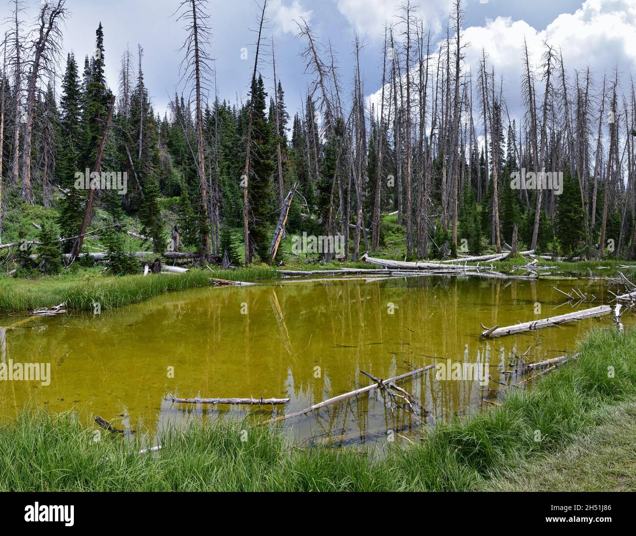 Alpine Pond Trail at Cedar Breaks National Monument views from hiking ...