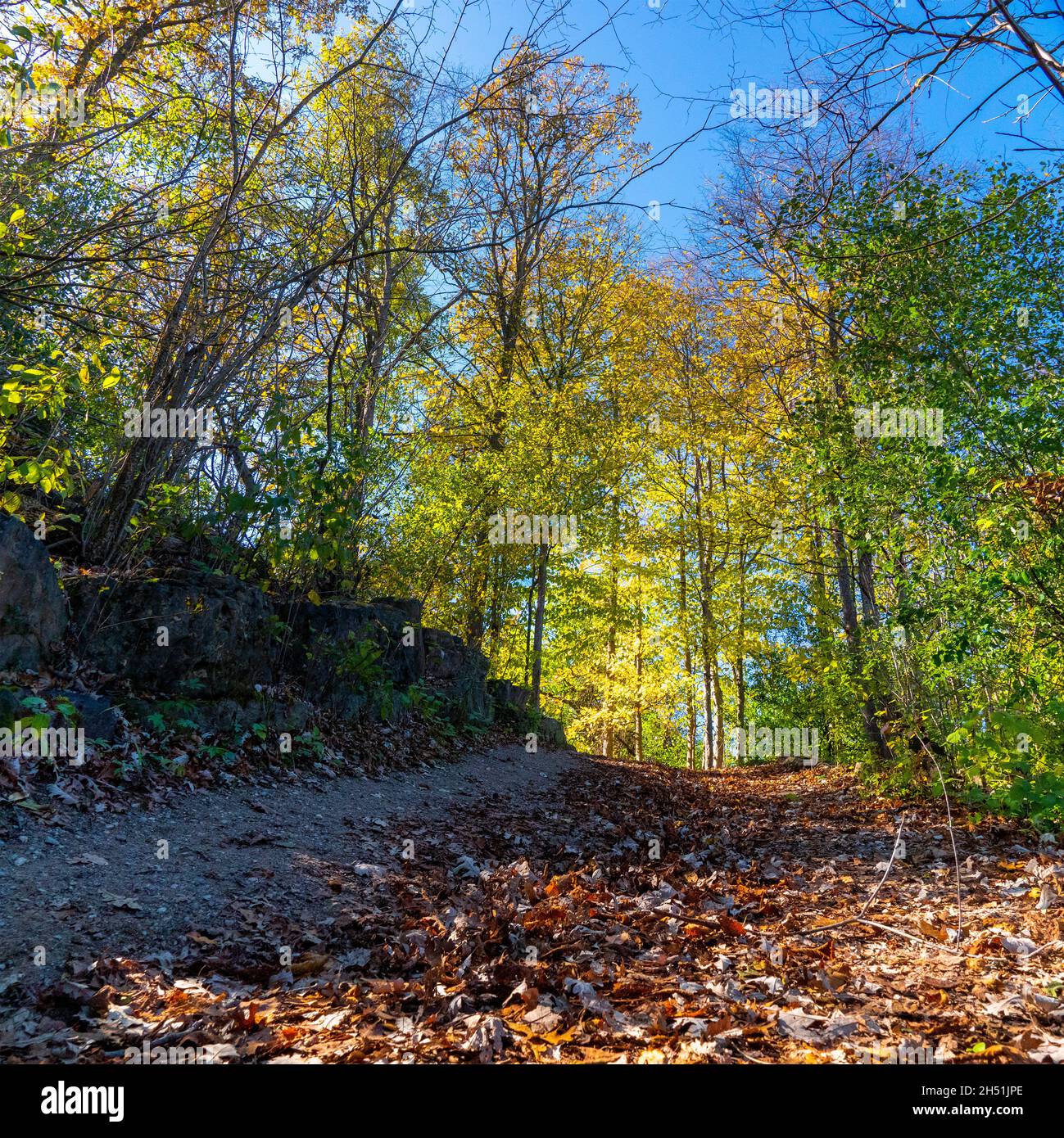Uphill path with leaves hi-res stock photography and images - Alamy