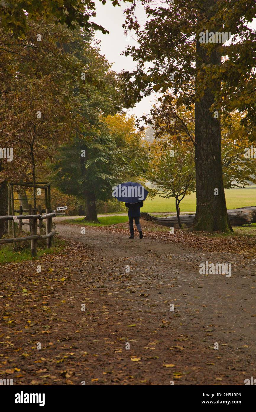 Peaceful park in autumn with a man with an umbrella Stock Photo - Alamy