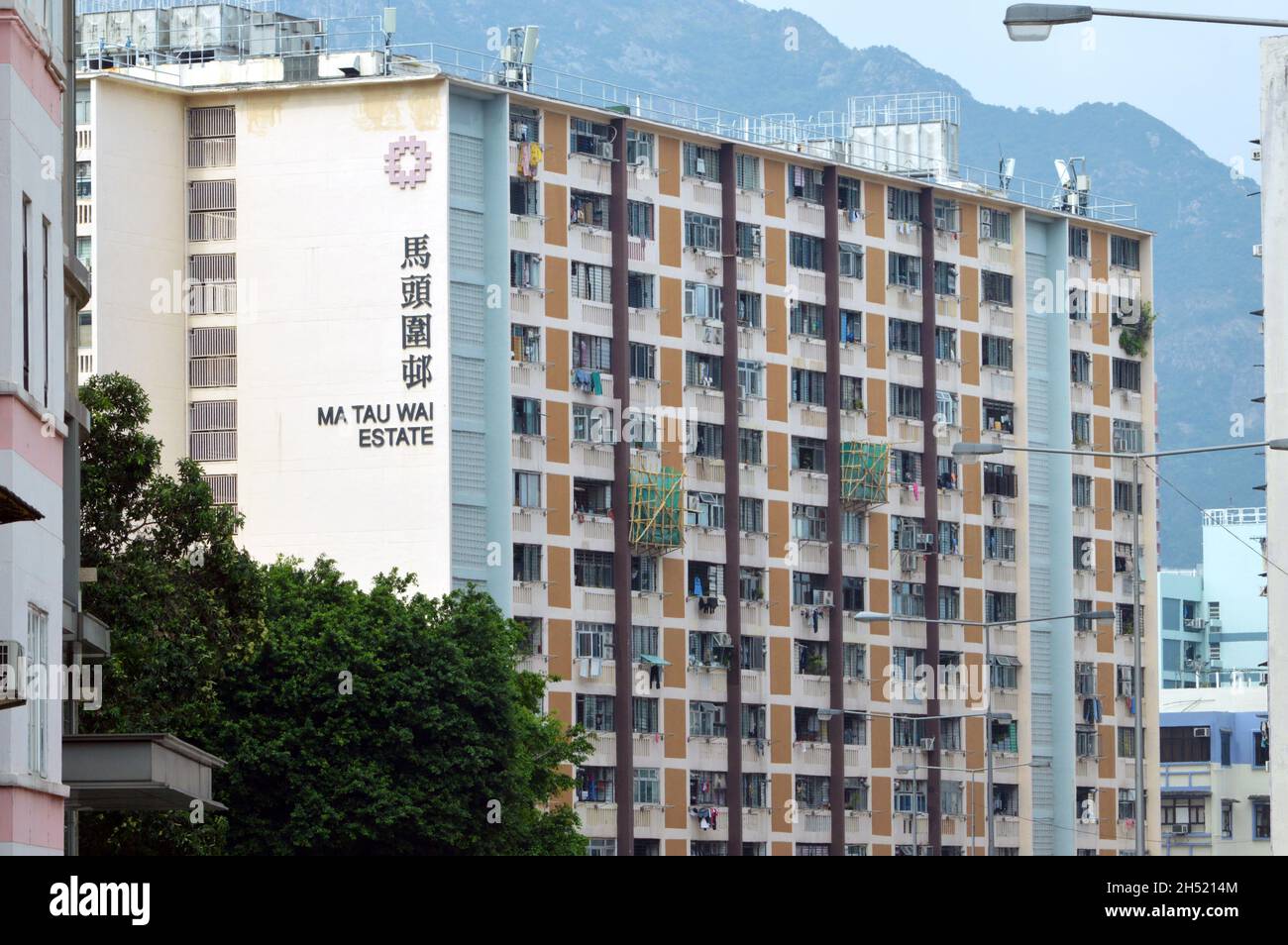 Geranium House of Ma Tau Wai Estate (馬頭圍邨) in Kowloon, Hong Kong (2021) Stock Photo