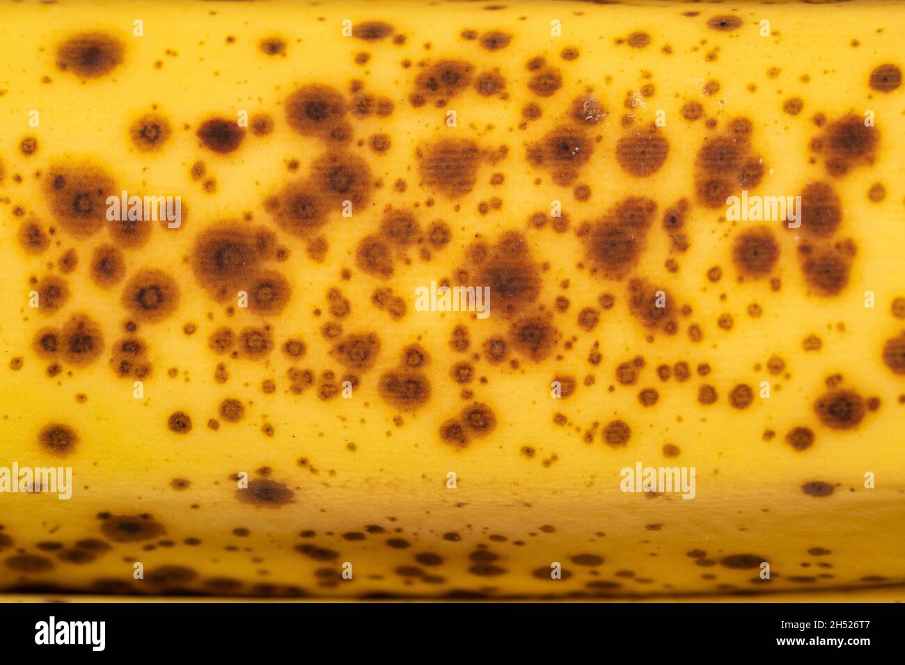 Bruised bruises hires stock photography and images Alamy