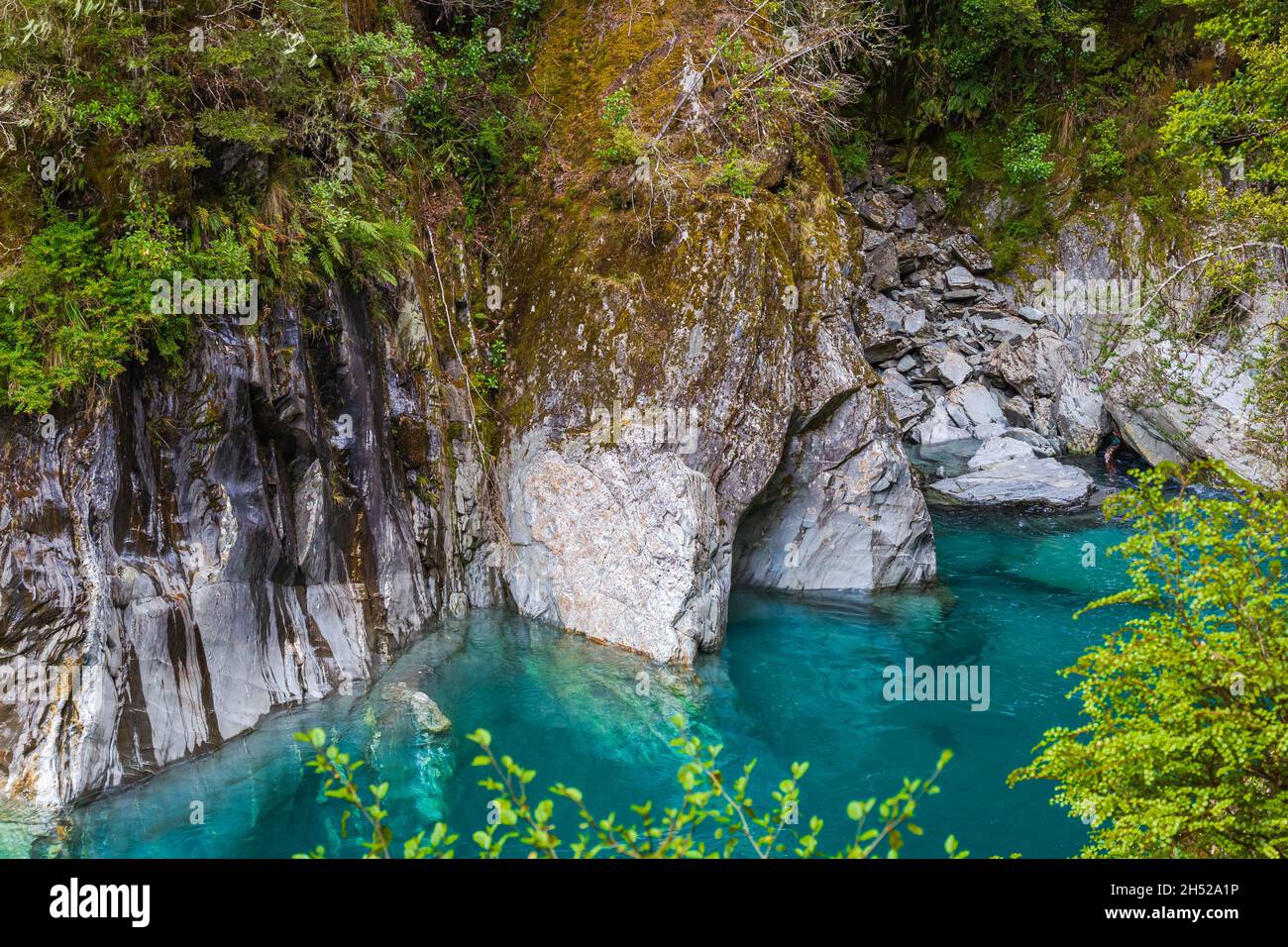 Cliffs above the blue water. South Island, New Zealand Stock Photo - Alamy