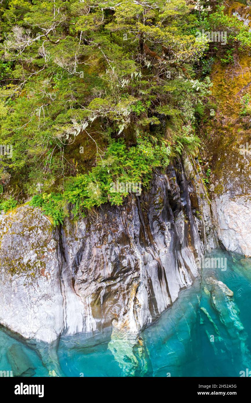 Steep cliffs above the turquoise water. South Island, New Zealand Stock ...