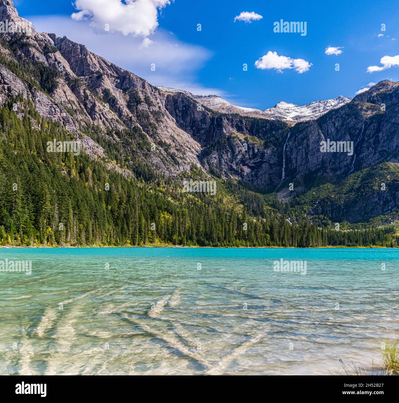 Sunken Logs Below The Clear Water of Avalanche Lake, Glacier National Park, Montana, USA Stock Photo