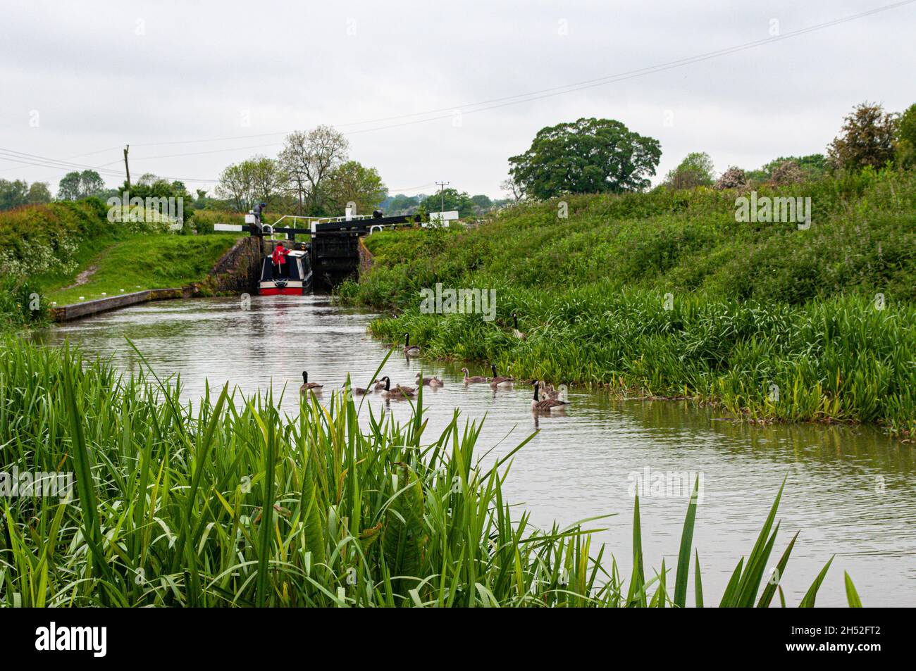 The Rural Channel Hd Rural channel surrounded by plants on a cloudy bay Stock Photo - Alamy