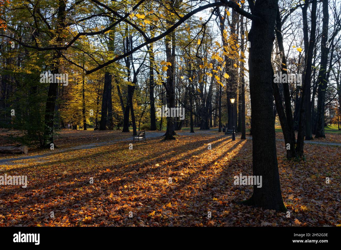 Autumn in the Park of the Palace Complex in Żywiec Stock Photo