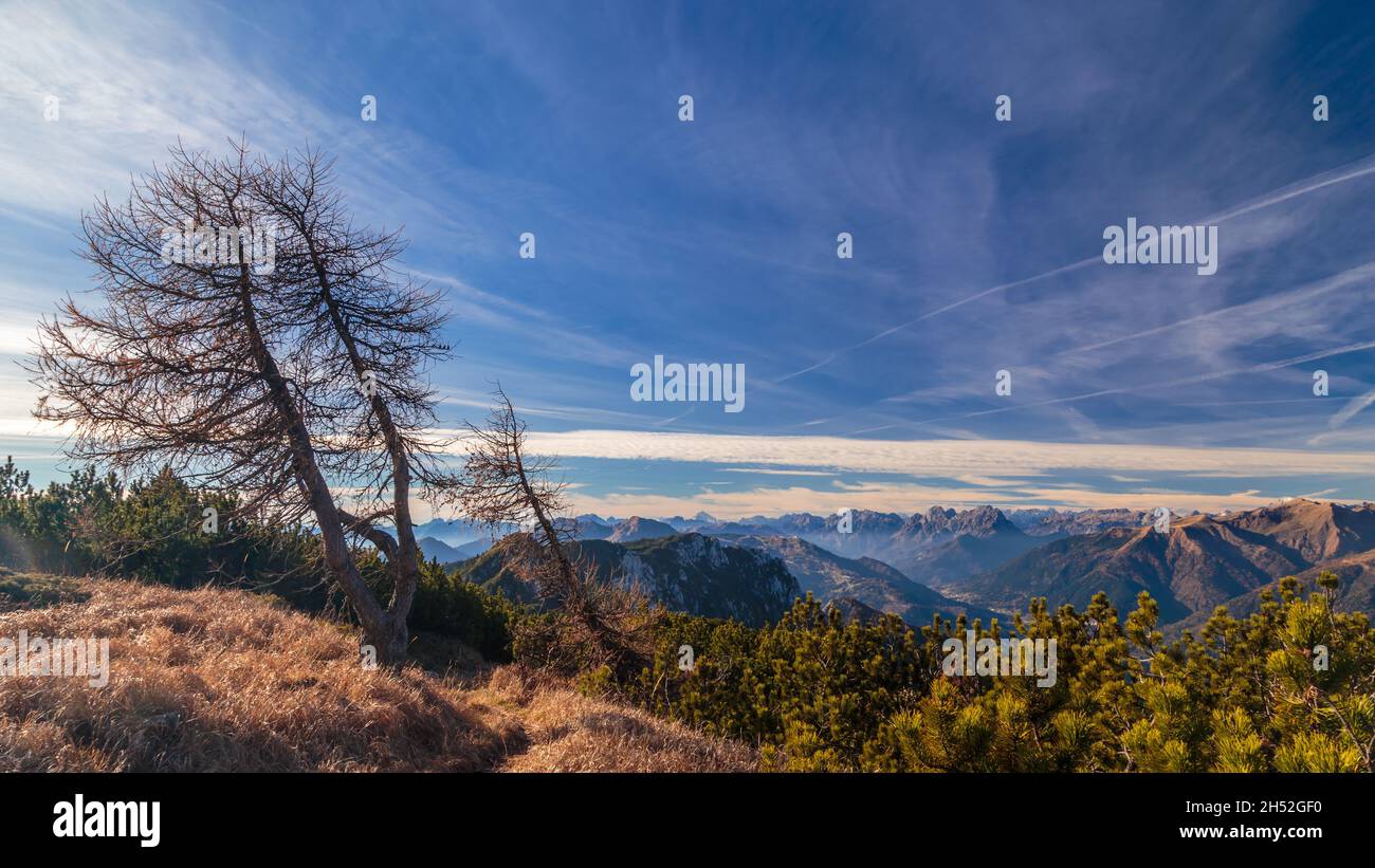 Sunny day in the carnic alps during a colorful autumn Stock Photo - Alamy