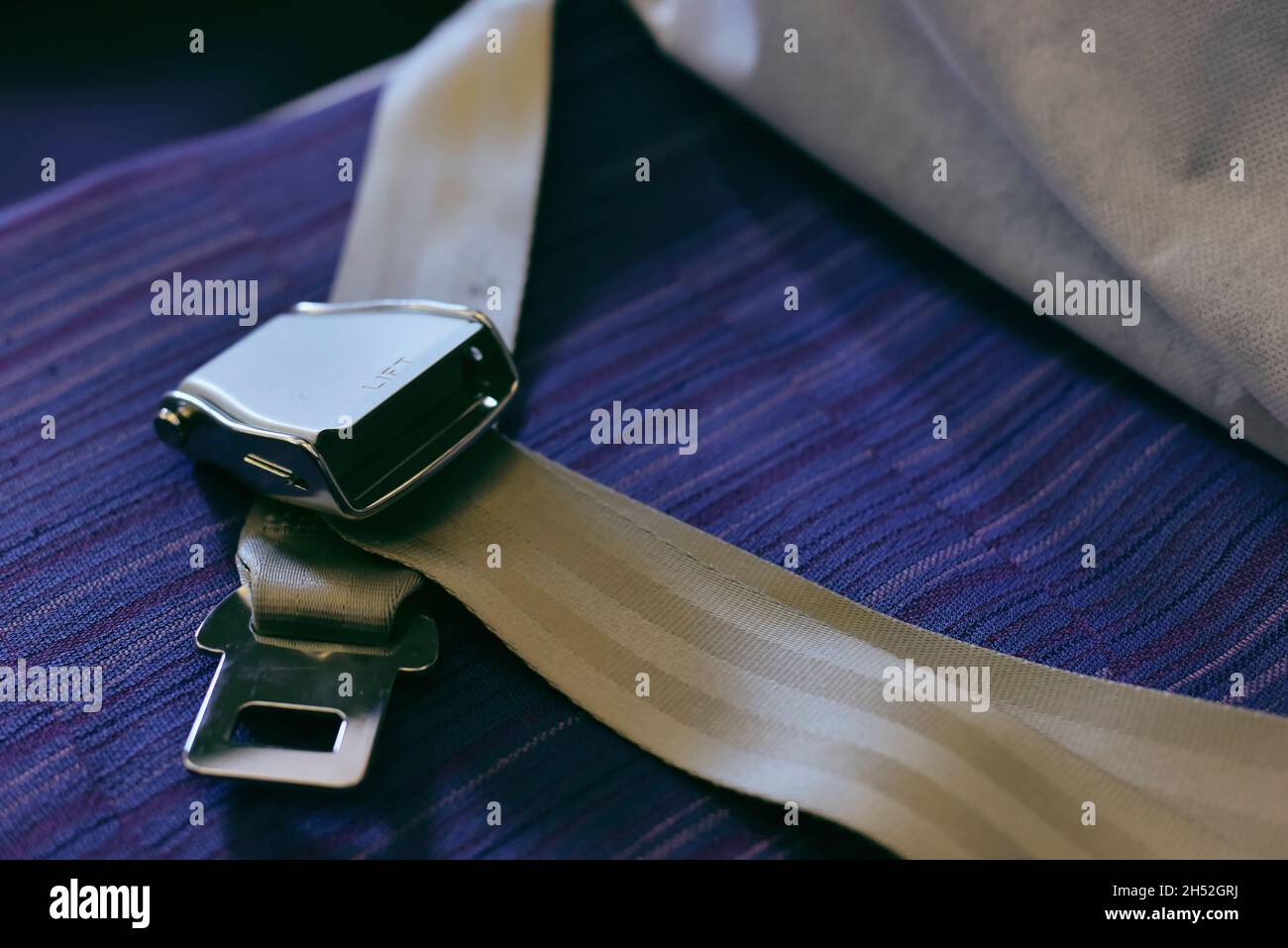 Seat Belt Setting in Airplane on Purple Seat Background. Passenger