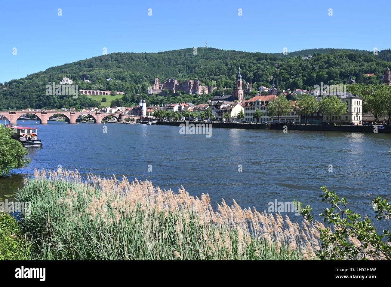 Neckar bank in Heidelberg with a view of the old town Stock Photo