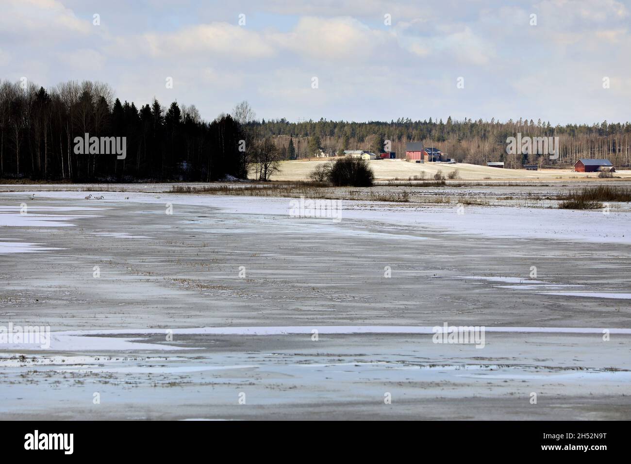 Frozen floodwater over cultivated field in the spring. Frozen water over fields can damage the crops. South of Finland, March 2020. Stock Photo