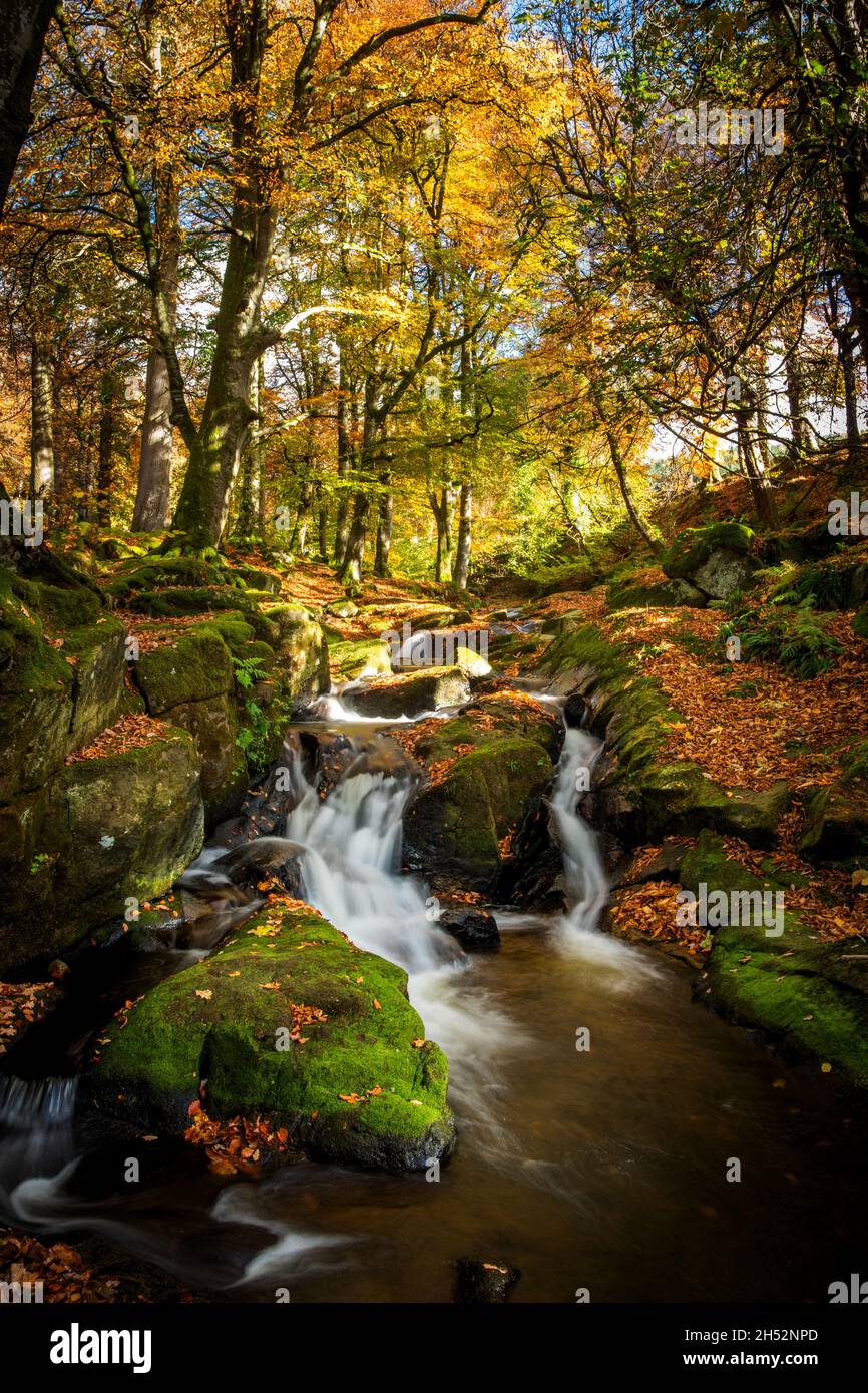 Autumn at Cloghleagh, County Wicklow, Ireland Stock Photo
