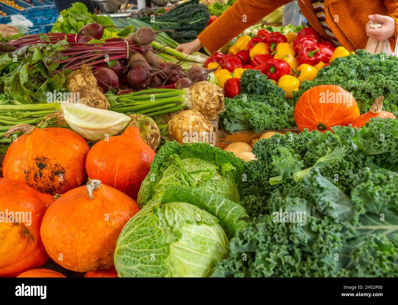 Netherlands. Farmers market in Amsterdam. Buyer and many ripe greenery and vegetables Stock Photo