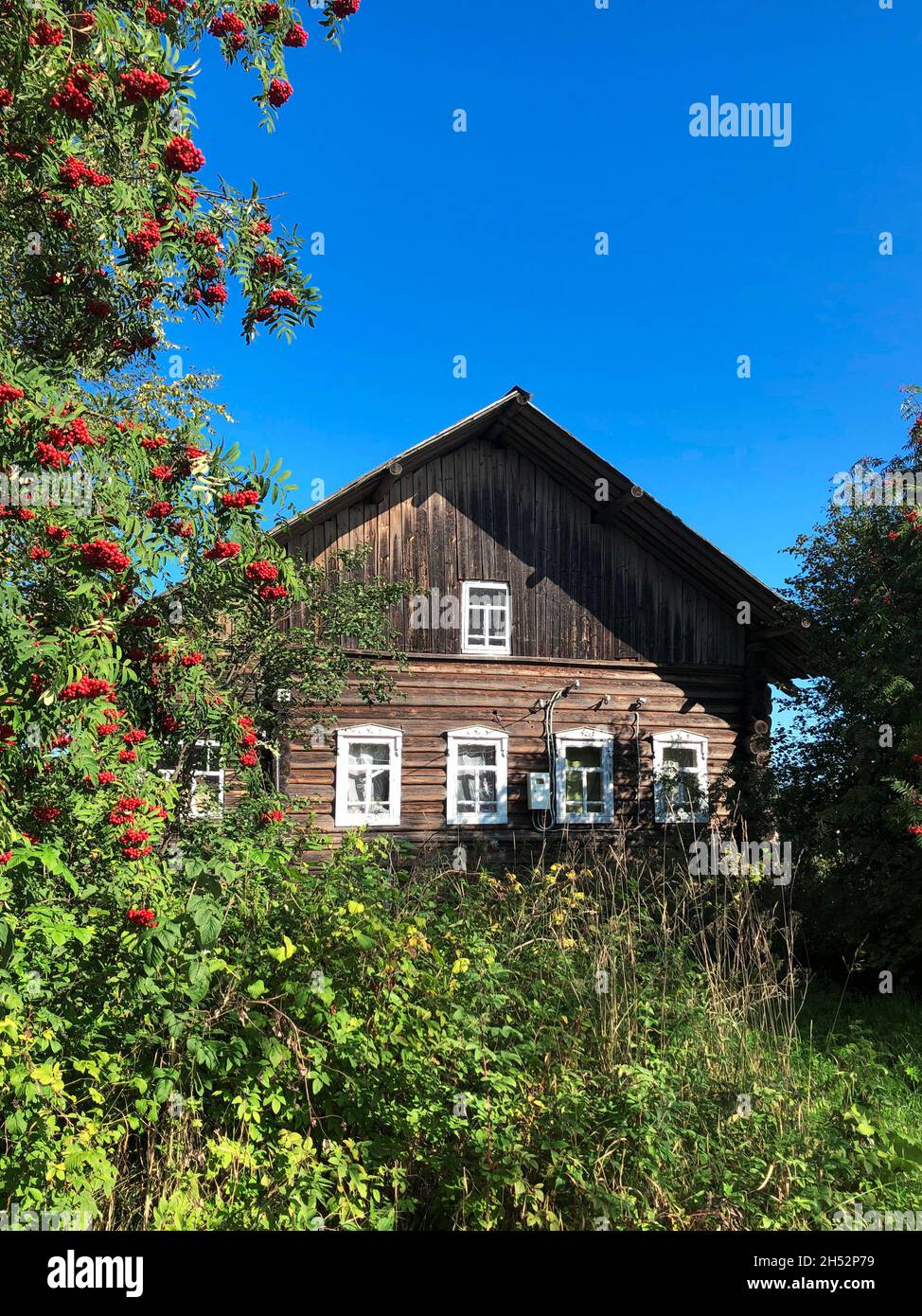 Front of old brown village wooden house with white windows on autumn nature landscape background Stock Photo