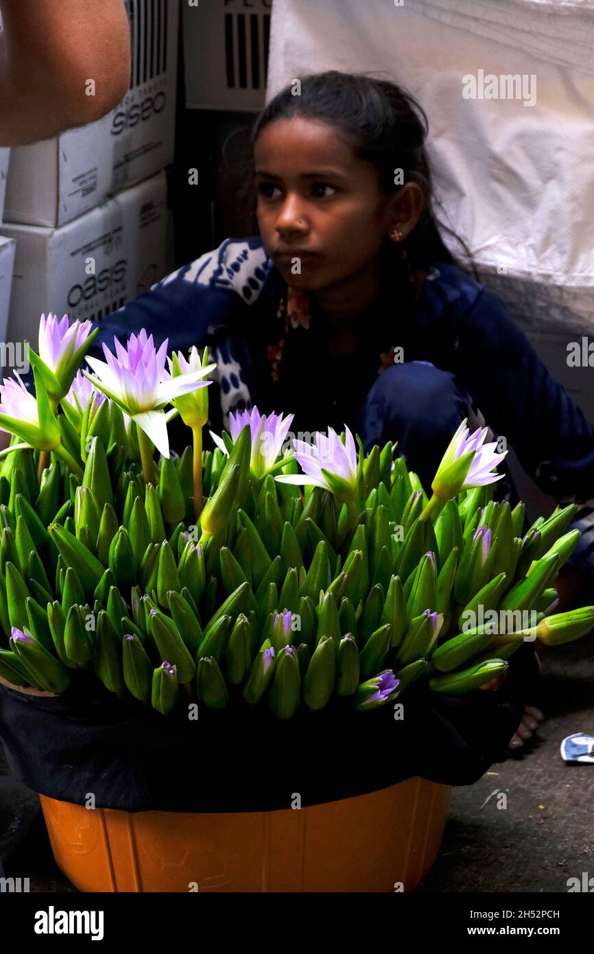 Pune, INDIA November 04 Flower at Market Yard in Pune during Diwali