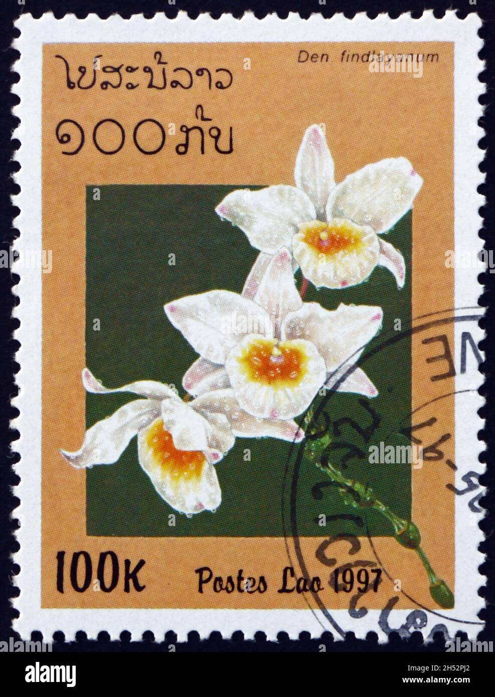 LAOS - CIRCA 1997: a stamp printed in Laos shows Findlays dendrobium, dendrobium findlayanum, is a species of orchid native to Indochina, circa 1997 Stock Photo