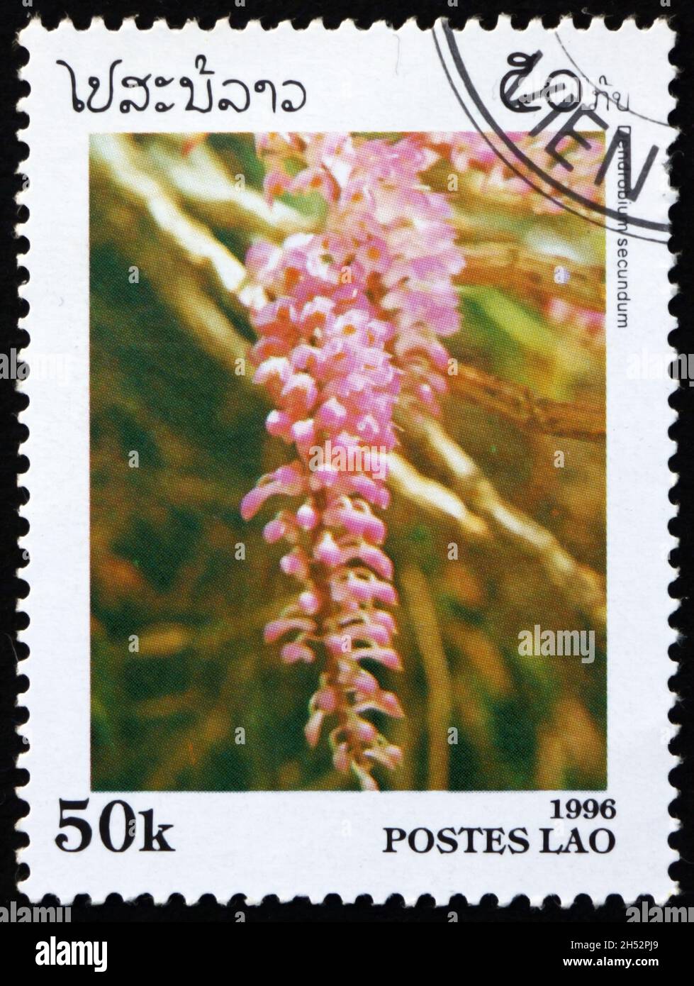 LAOS - CIRCA 1996: a stamp printed in Laos shows toothbrush orchid, dendrobium secundum, is a species of orchid native to Southeast Asia, circa 1996 Stock Photo