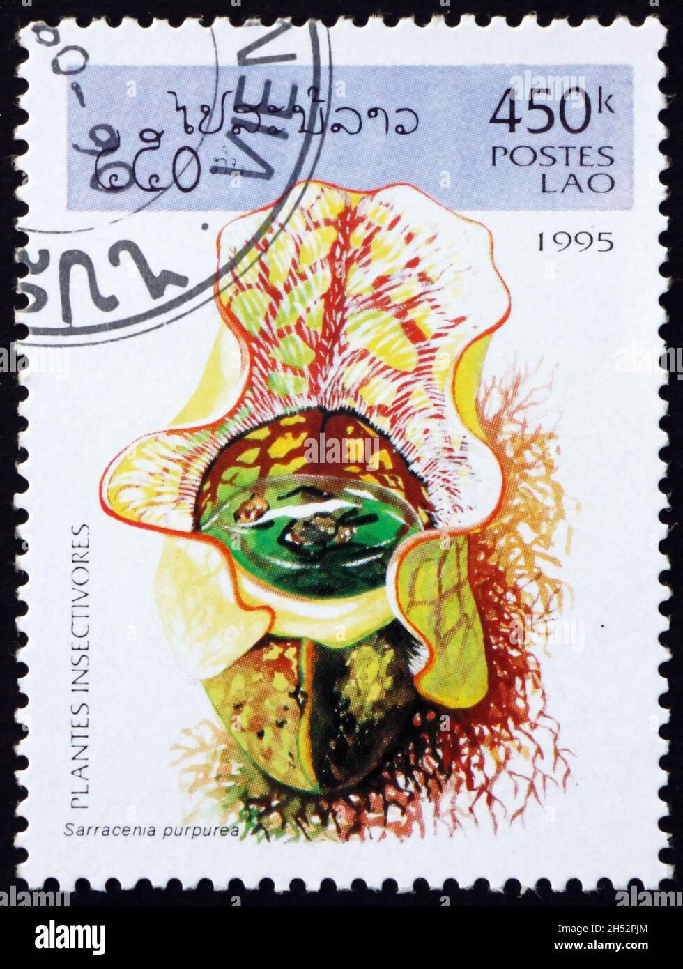 LAOS - CIRCA 1995: a stamp printed in Laos shows purple pitcher plant, sarracenia purpurea, is a species of carnivorous plant native to eastern part o Stock Photo