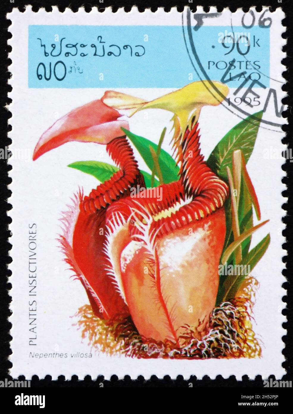 LAOS - CIRCA 1995: a stamp printed in Laos shows villose pitcher plant, nepenthes villosa, is a species of carnivorous plant native to northeastern pa Stock Photo