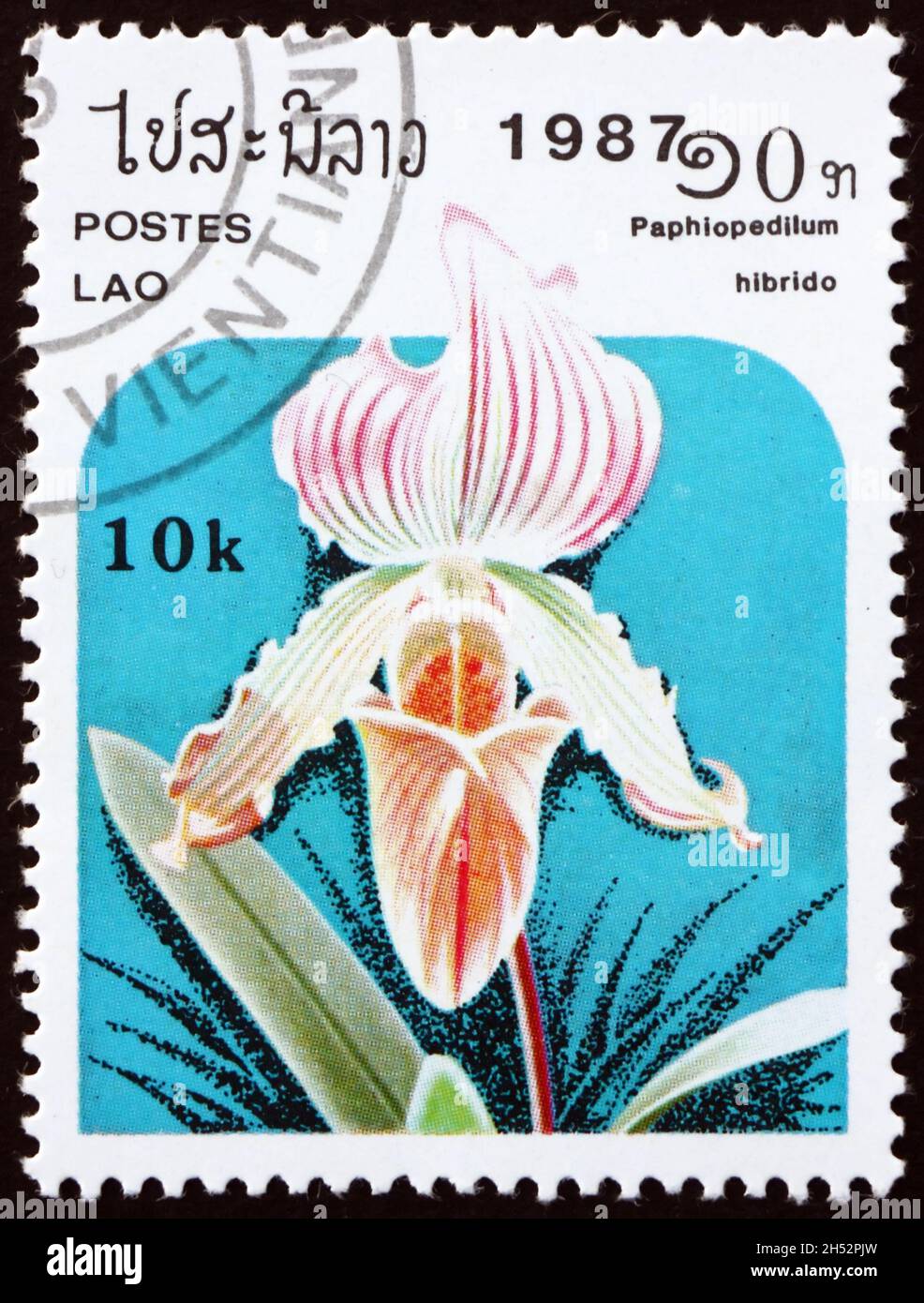 LAOS - CIRCA 1987: a stamp printed in Laos shows the lady slipper orchid, paphiopedilum hibrid, is a species of flowering plant native to Southeast As Stock Photo