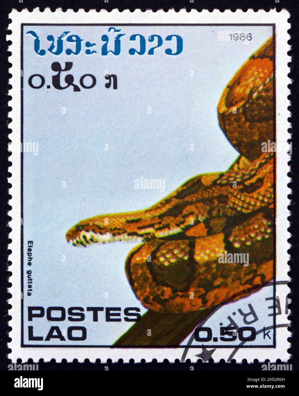 LAOS - CIRCA 1986: a stamp printed in Laos shows corn snake, elaphe guttata, is a North American species of rat snake found throughout the southeaster Stock Photo