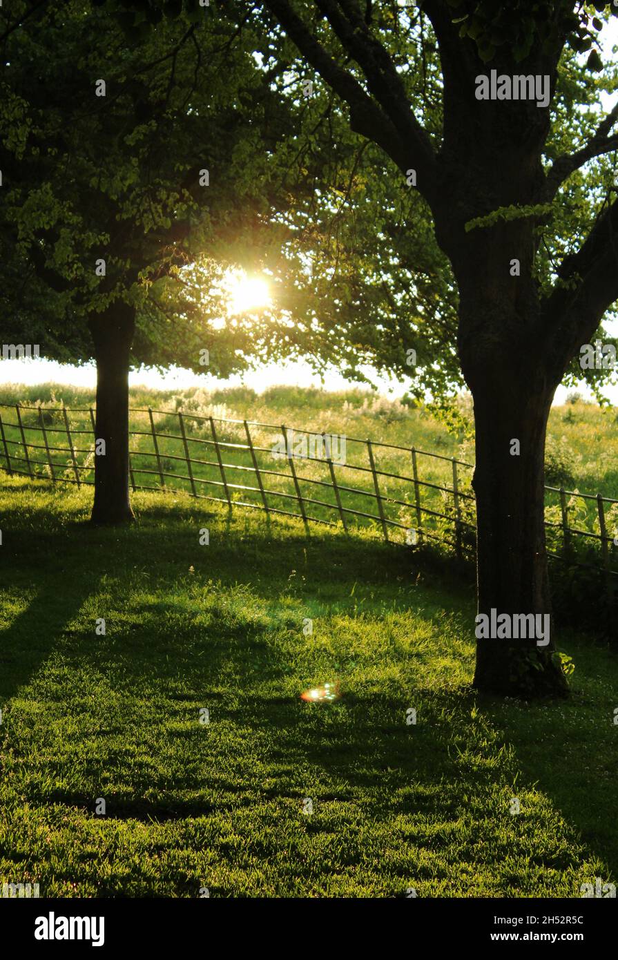 Binary tree background hi-res stock photography and images - Alamy