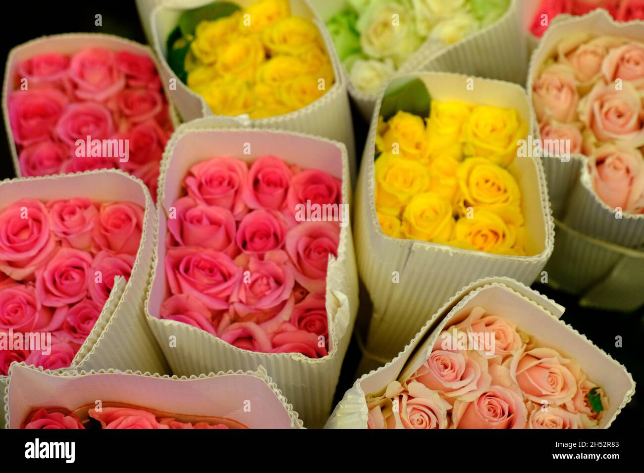 Pune, INDIA November 04 Flower at Market Yard in Pune during Diwali