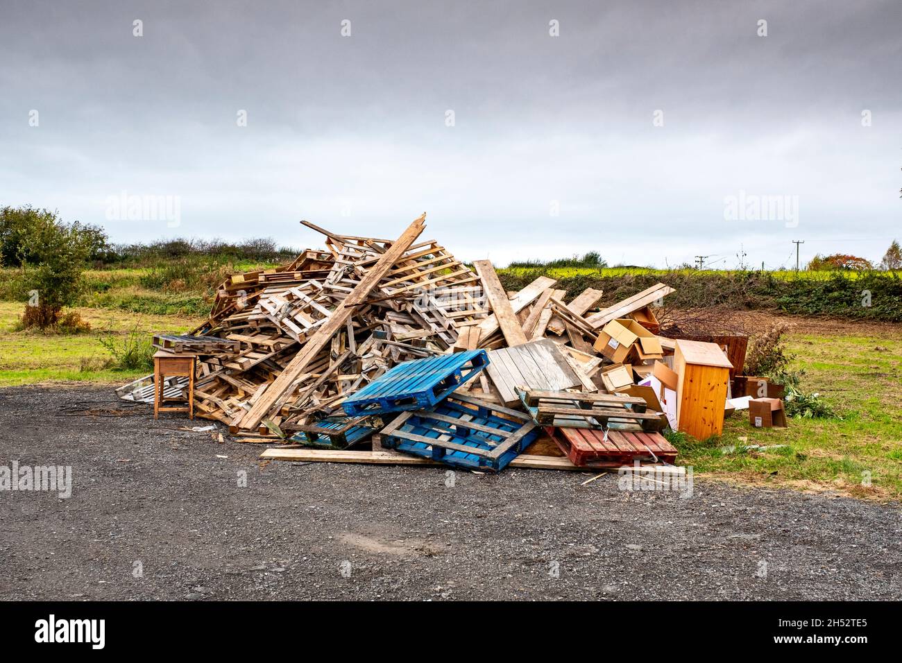 Collecting wood for bonfire night Stock Photo