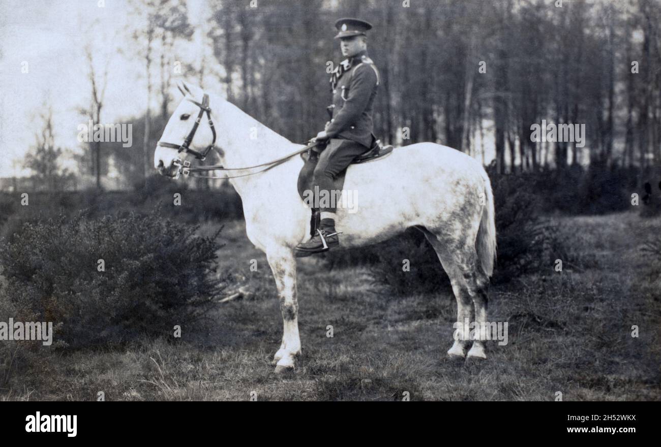 A First World War era portrait of a British cavalry soldier, mounted on a horse. Stock Photo