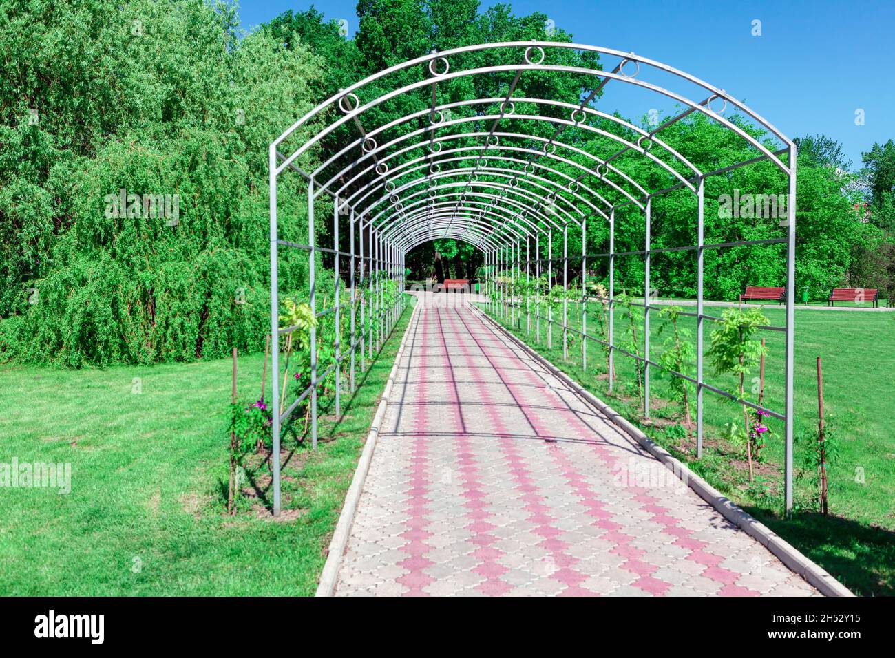 Park alley with footpath . Walking in the city spring park . Garden arch in alley Stock Photo