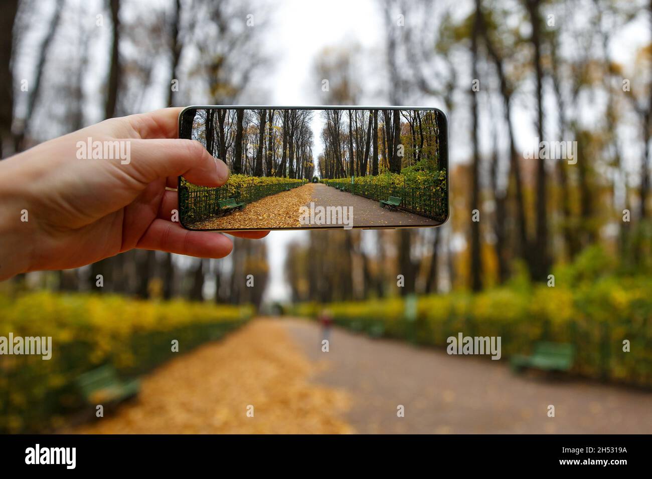 Taking pictures via frameless smartphone at autumn park Stock Photo