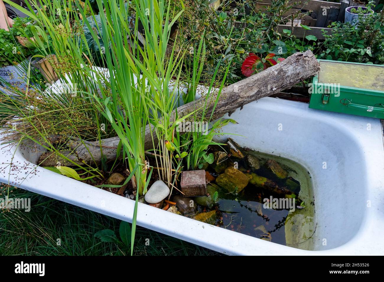 Old bath tub as garden pond Stock Photo