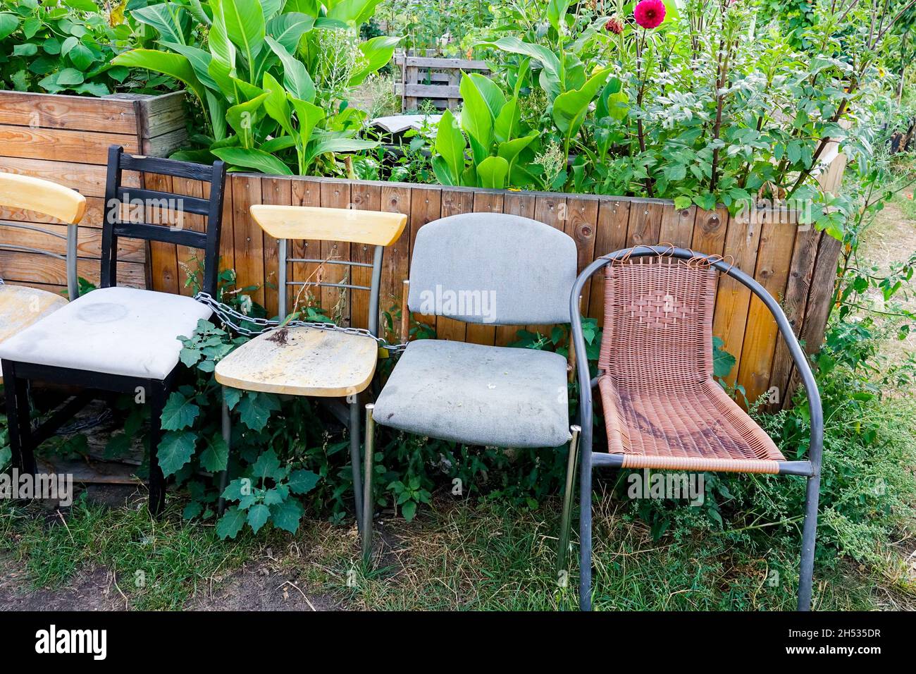 Old used chairs in an allotment garden Stock Photo