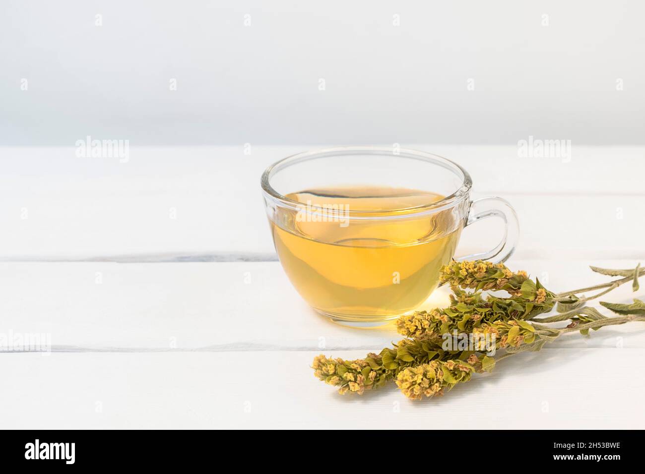 Glass cup of herbal tea with Mursalski Chai and dried herbs on white wooden table with copy space Stock Photo