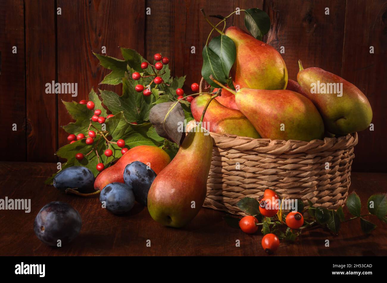 pears in a basket and branches of wild rose and viburnum on a dark ...