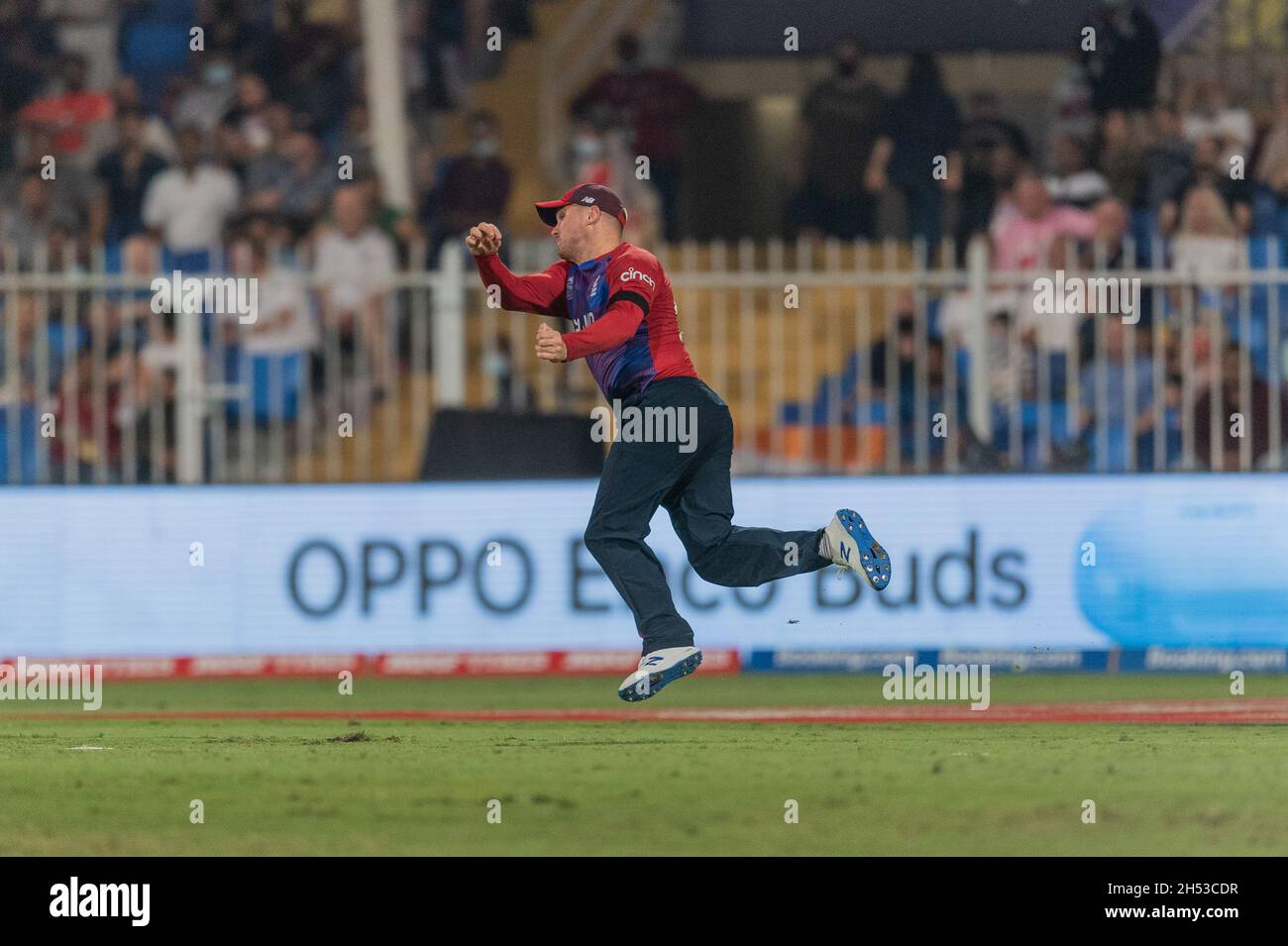 Where to Bet T20 World Cup in Uae: Top Trusted Sites Revealed