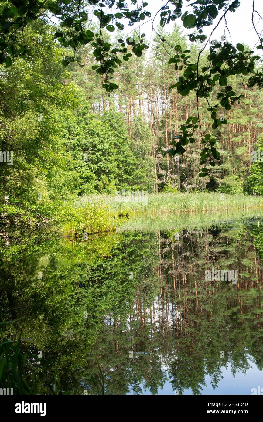 Calm water and peaceful hi-res stock photography and images - Alamy